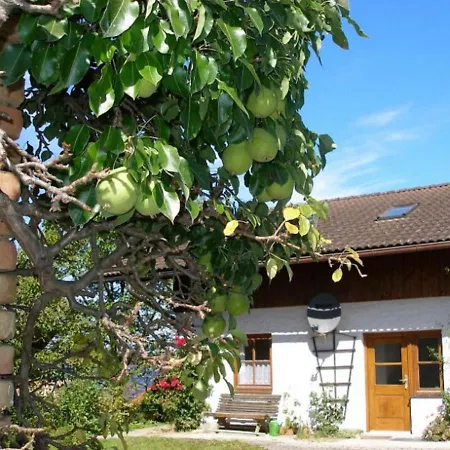 Gschwingerhof مزرعة للإقامة *