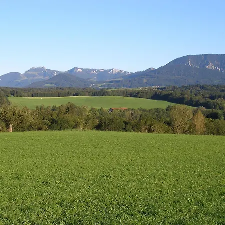 Gospodarstwo agroturystyczne Gschwingerhof Riedering