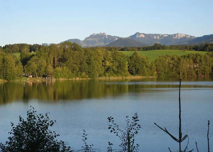 Gschwingerhof